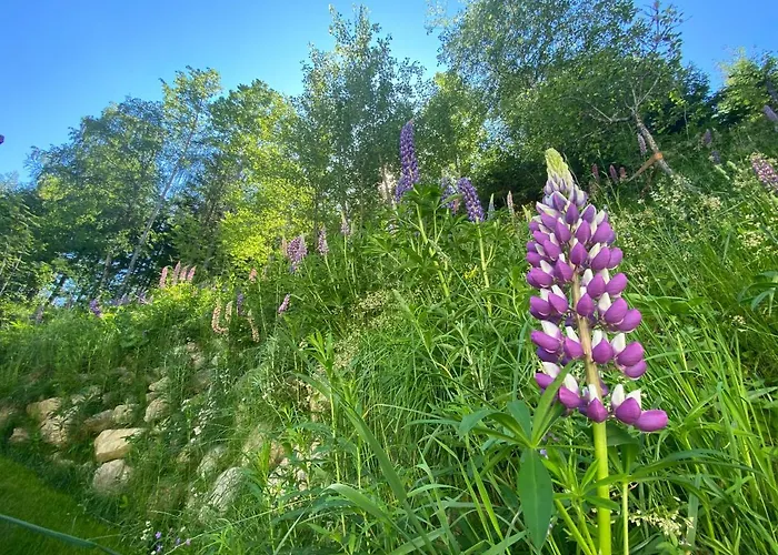 Max&moritz Апартаменты